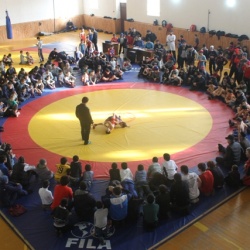 Вольная борьба56