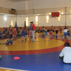 Вольная борьба46