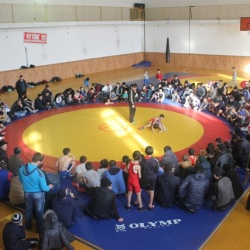 Вольная борьба55