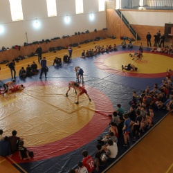 Вольная борьба44